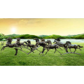 Hot sale instock life size animal statues resin running herd horse sculptures